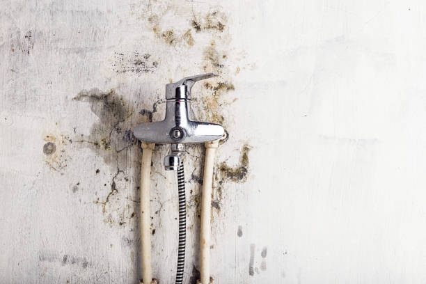 Best Post-Flood Mold Remediation in Mason, TX