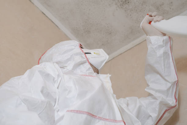 Best Industrial Mold Remediation in Mason, TX