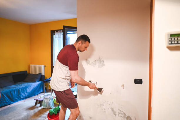 Best Mold Testing and Inspection Services in Mason, TX