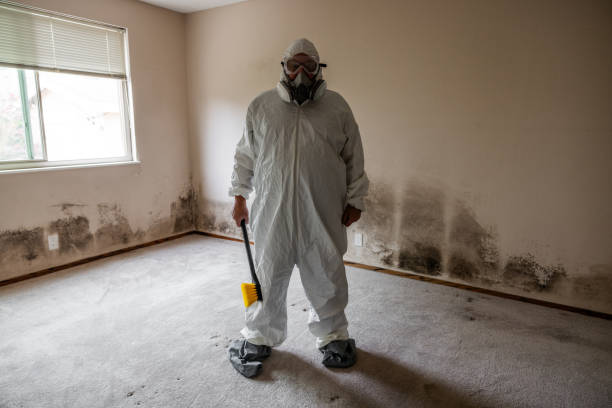 Best Crawl Space Mold Remediation in Mason, TX