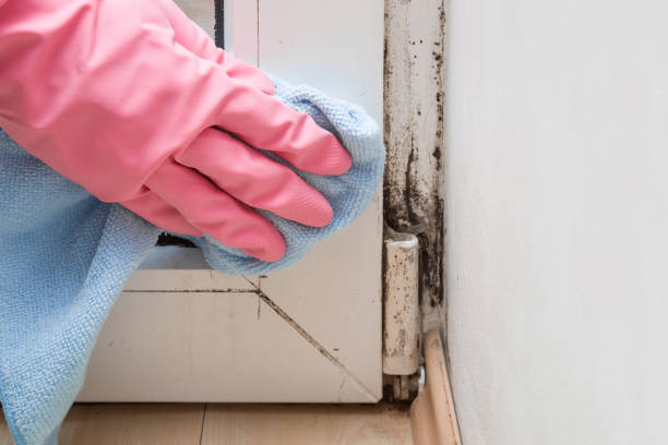 Mason, TX Mold Remediation Company