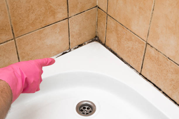 Best Residential Mold Remediation in Mason, TX